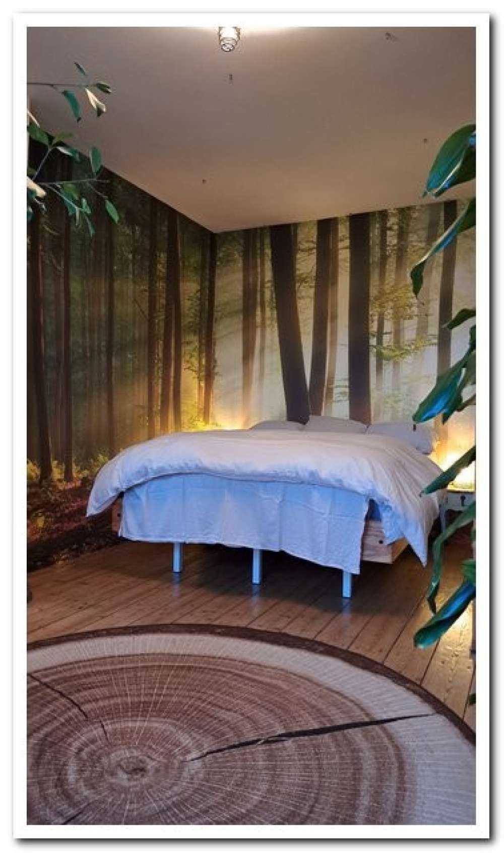 Morgensonne zwischen den Bäumen