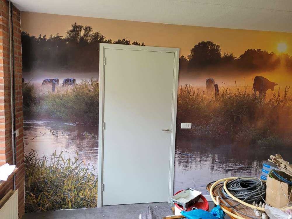 Kühe auf der Wiese