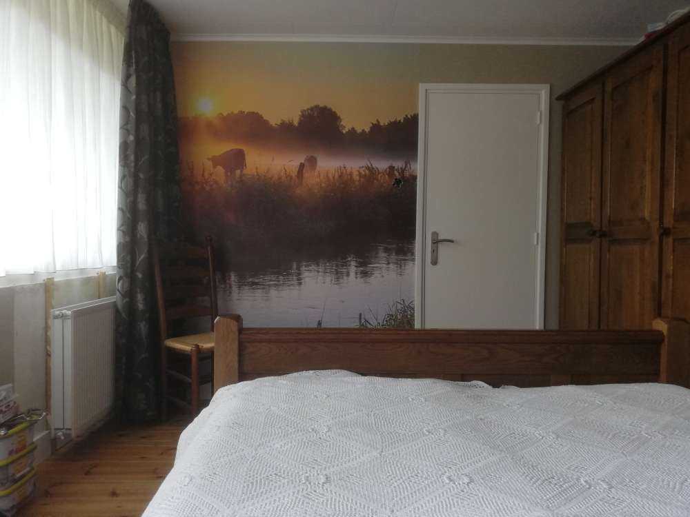 Kühe auf der Wiese
