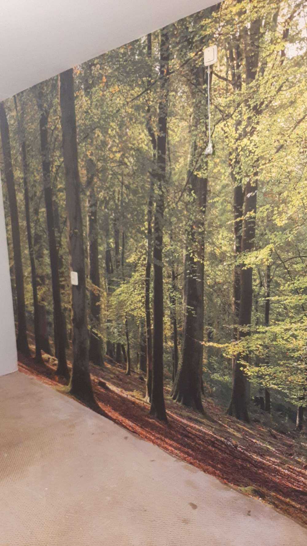 Waldspaziergang