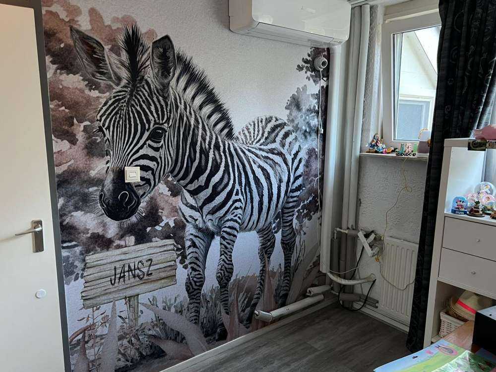 Junges Zebra in der Natur taupe