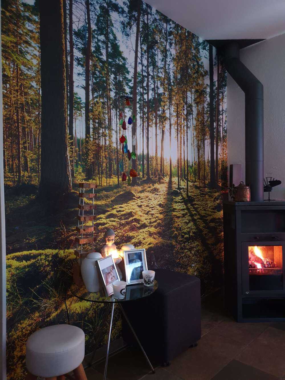 Kiefernwald