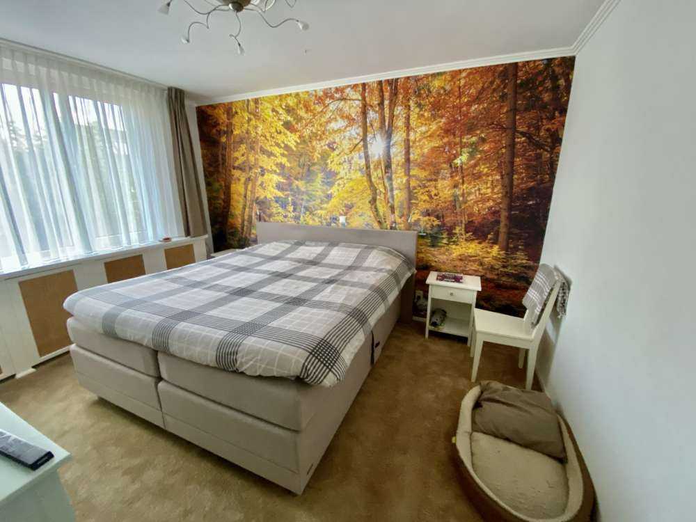 Herbst im wilden Wald