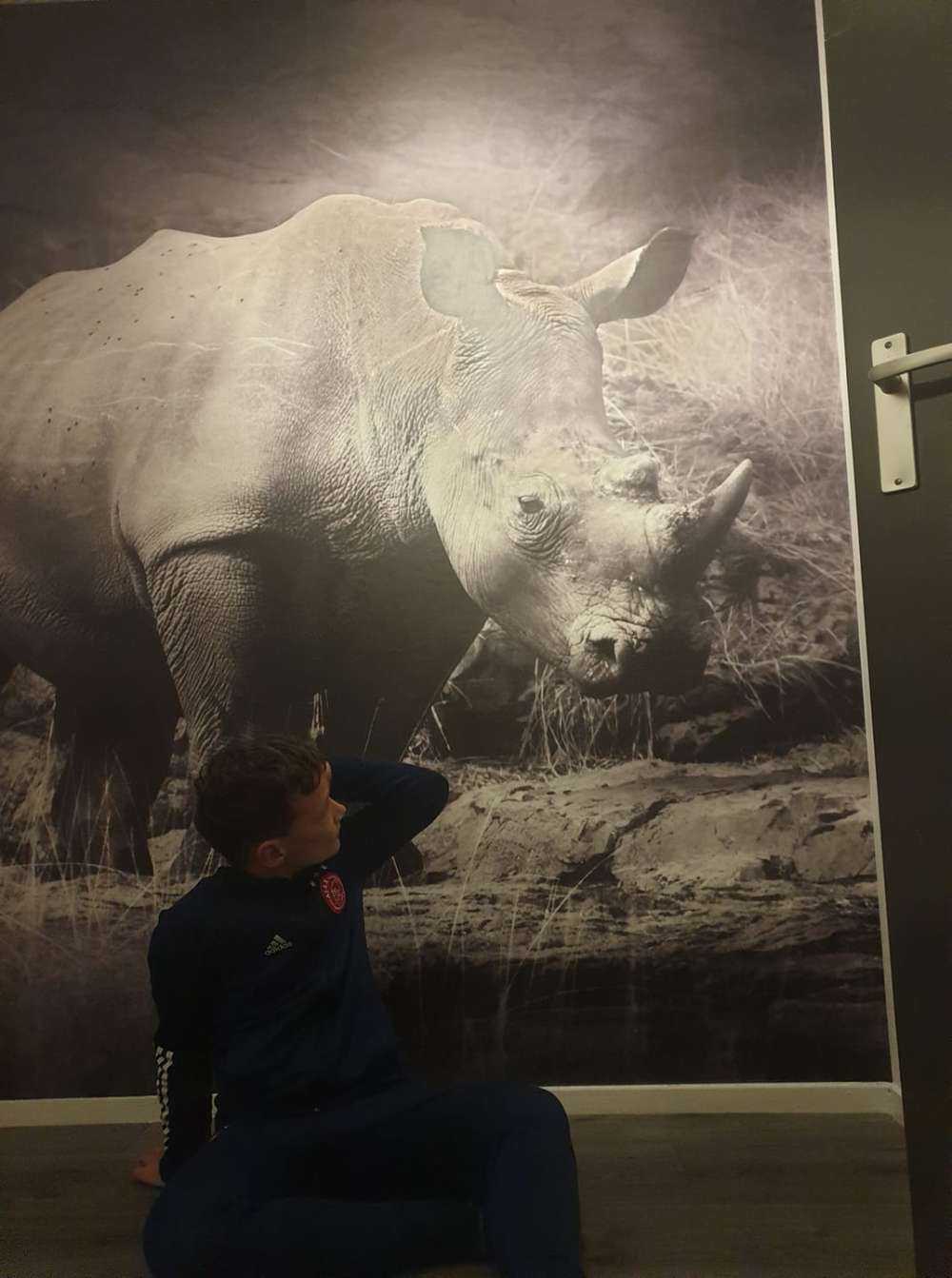 Tapete mit einem Nashorn