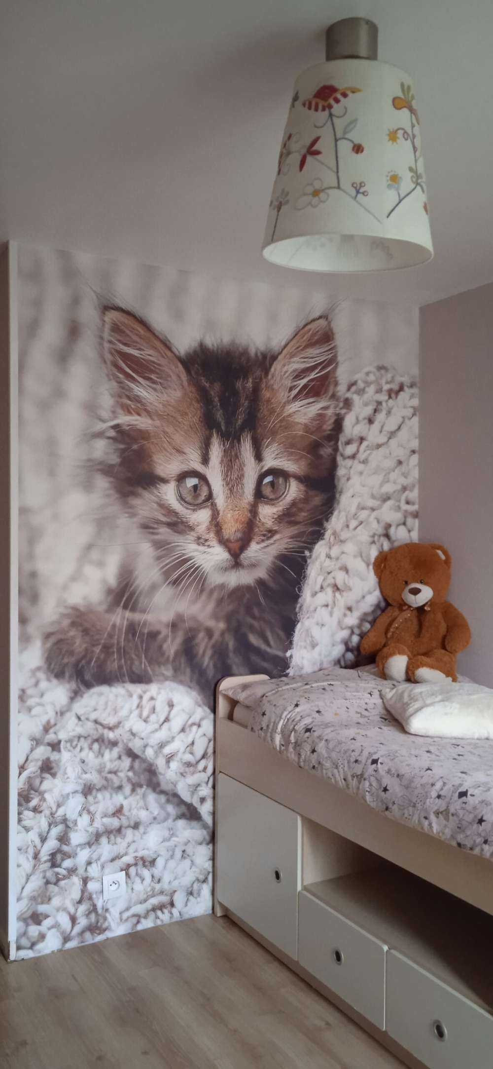 Katze in einer Decke