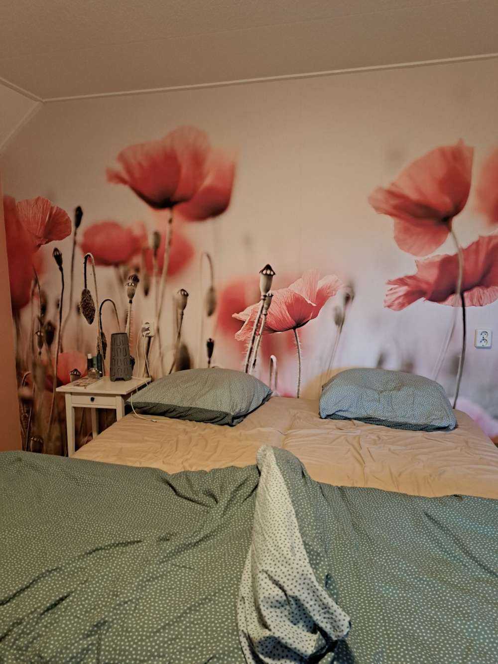 Verträumter Mohn