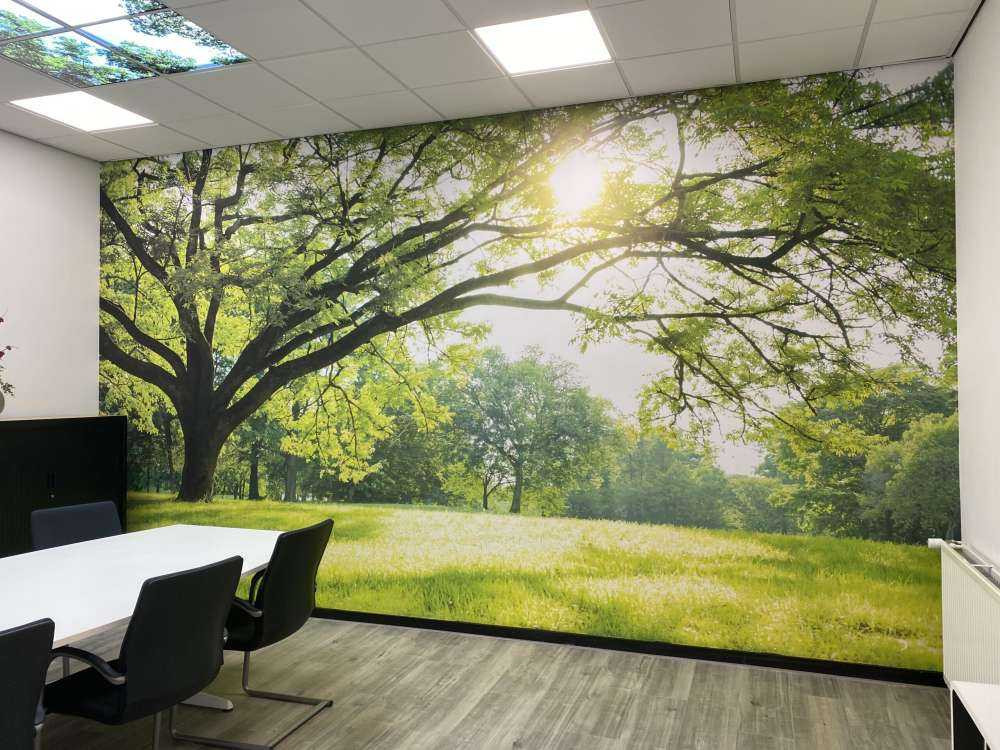 Schöner Baum mit grünem Gras