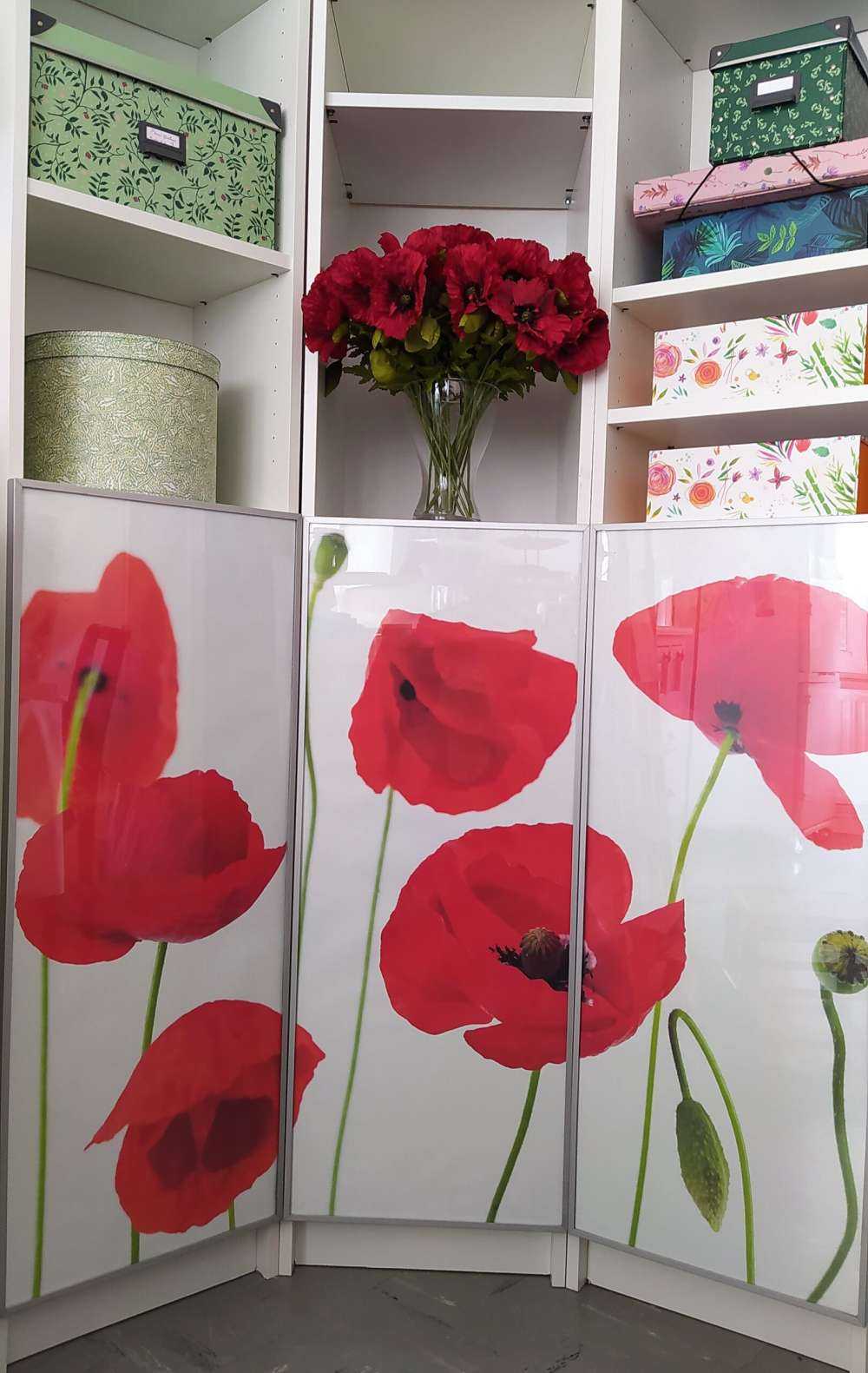 Mohnblumen auf weißem Hintergrund
