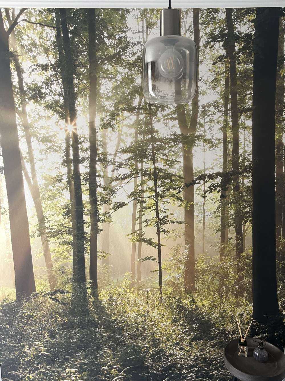 Nebliger Laubwald