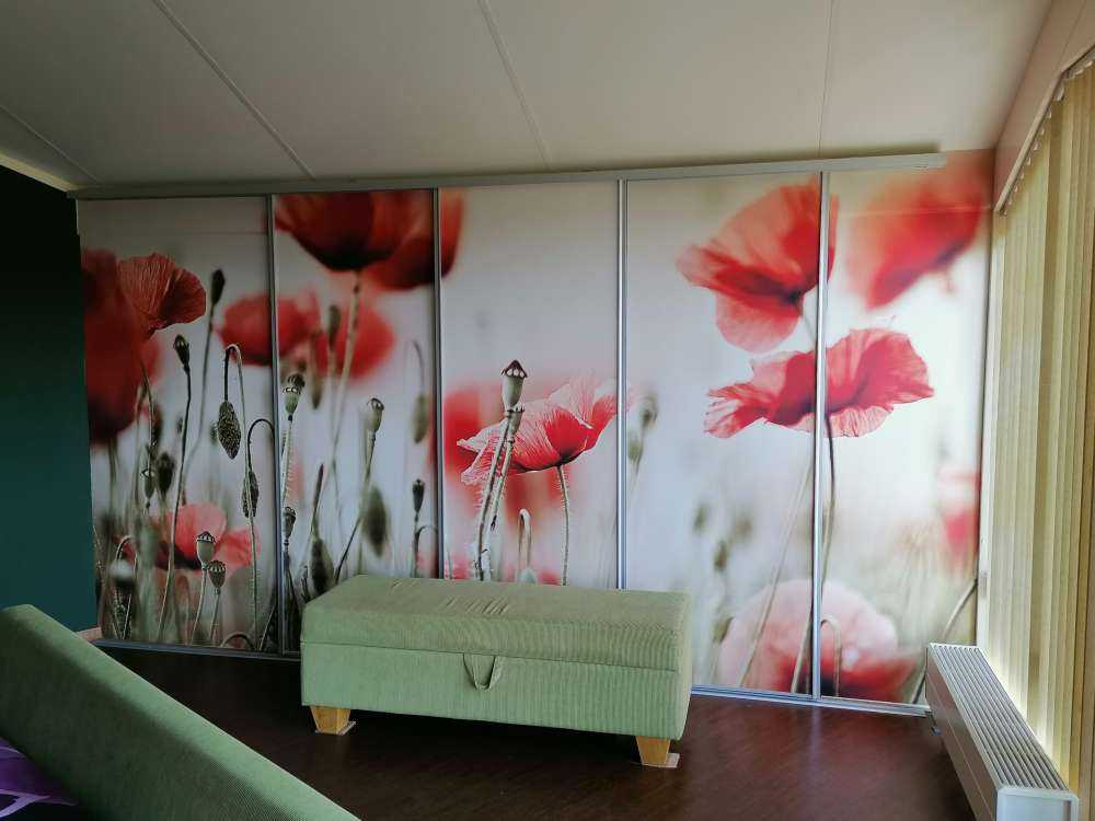 Verträumter Mohn