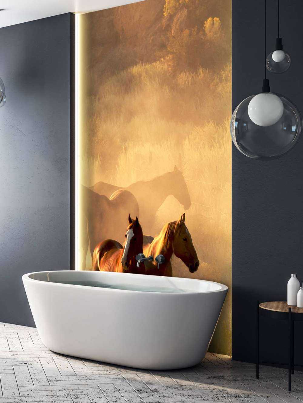 Pferde während des Sonnenuntergangs