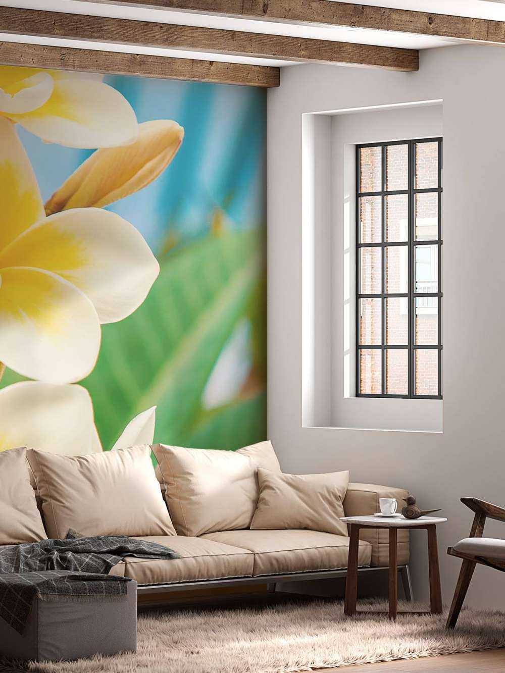 Weiß Gelbe Plumeria Blume