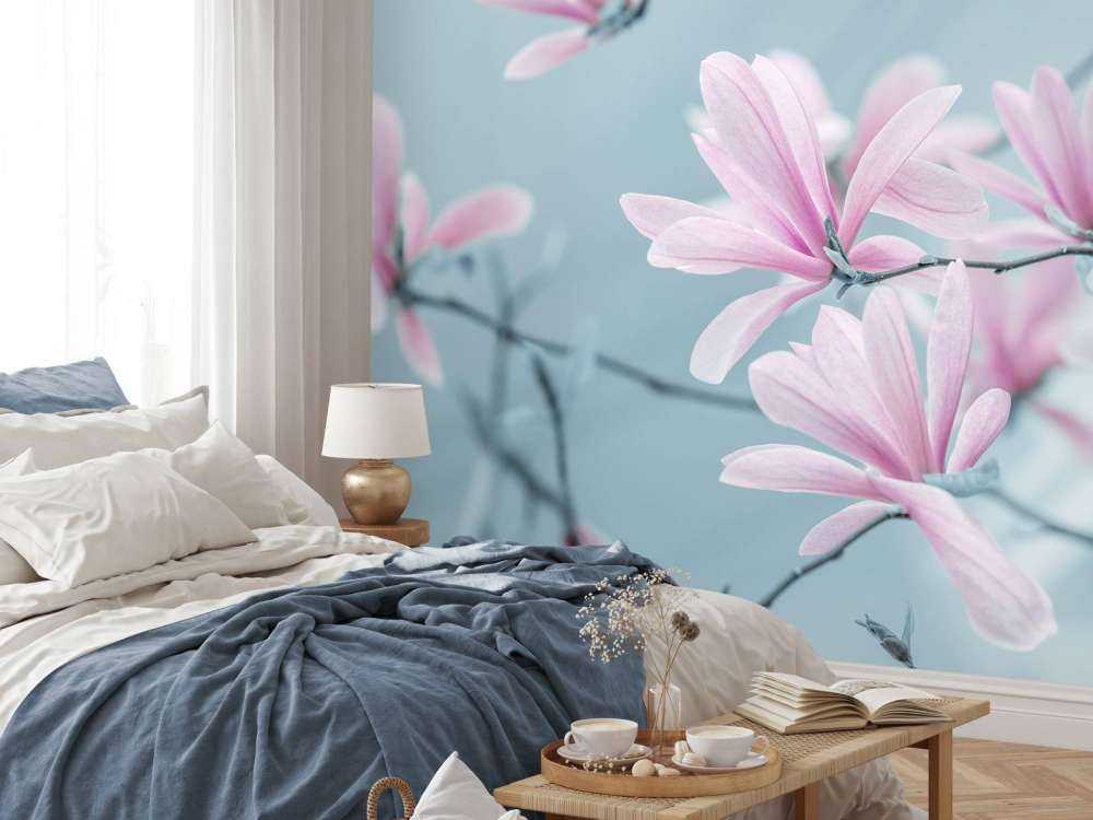 Magnolien Blumen