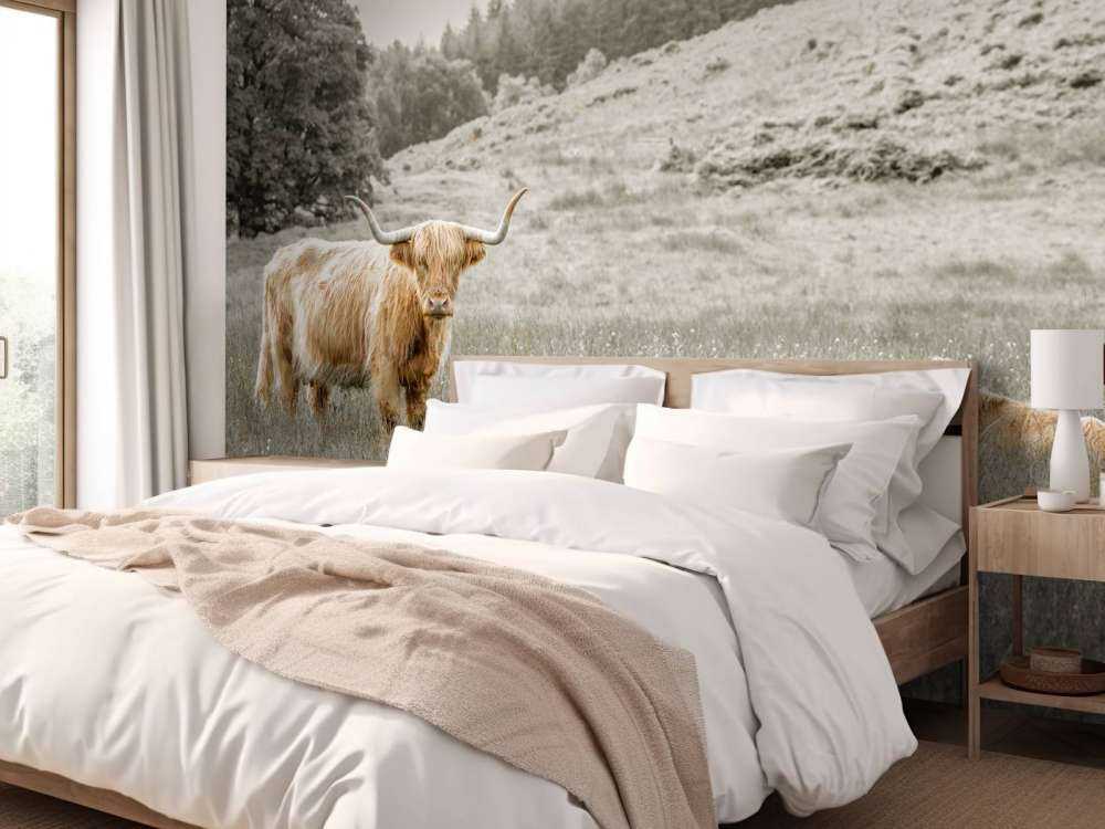 Schottischer Highlander mit Kalb