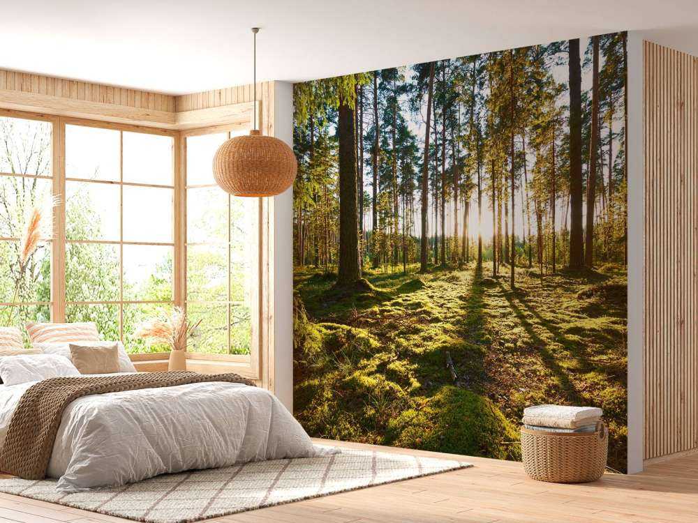 Kiefernwald