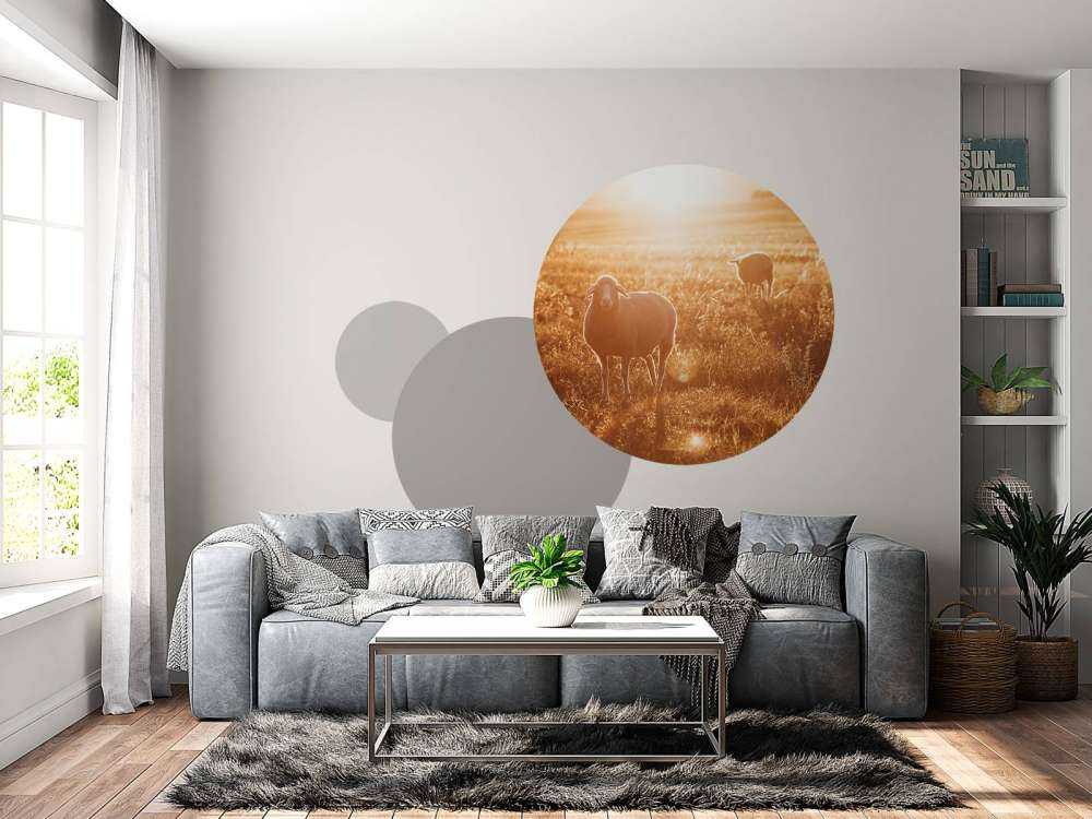 Schafe auf einer schönen Weide