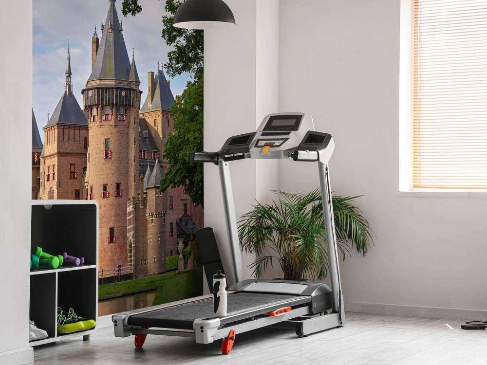 Schloss de Haar vom Garten aus