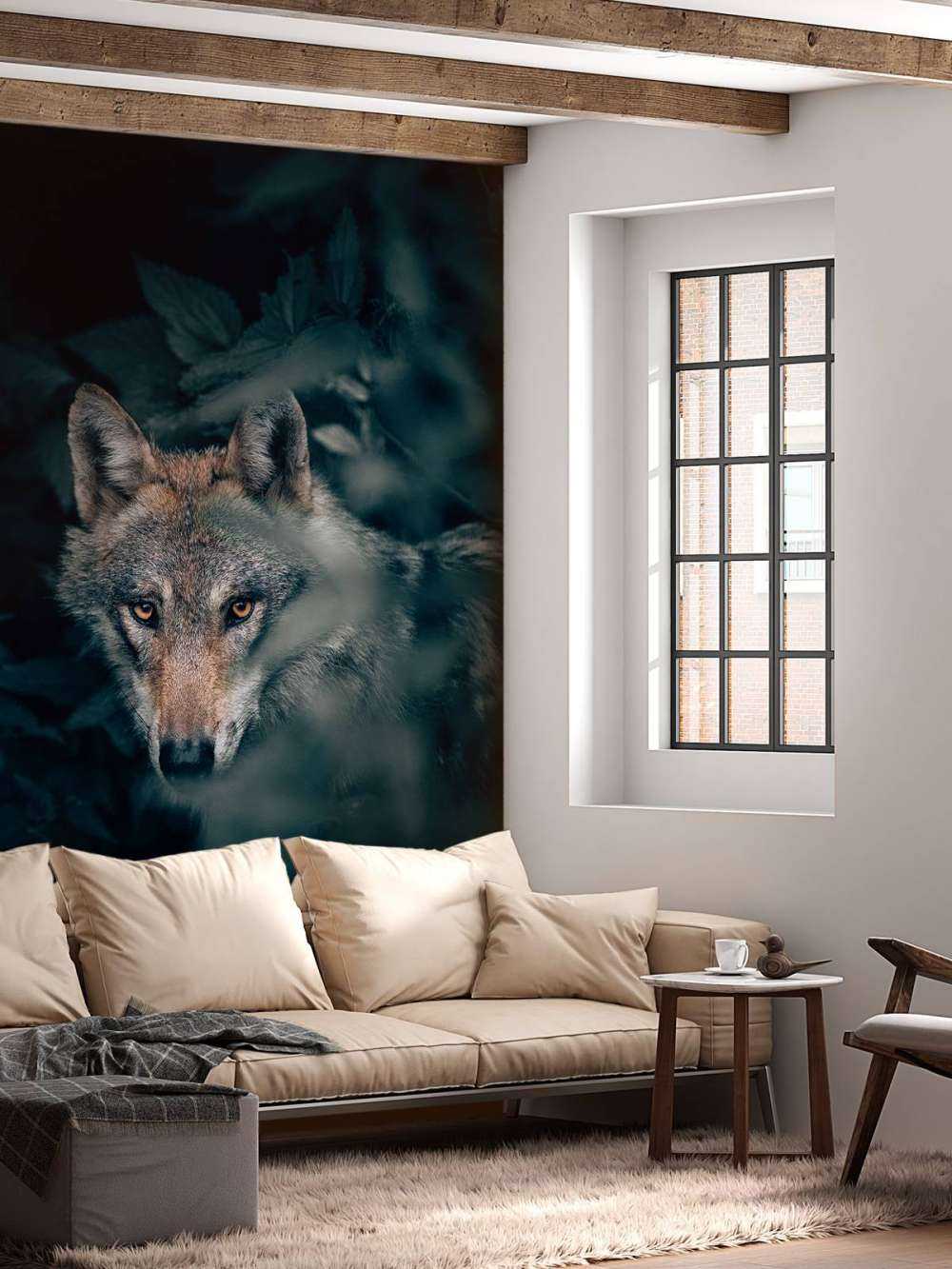 Nahaufnahme Wolf