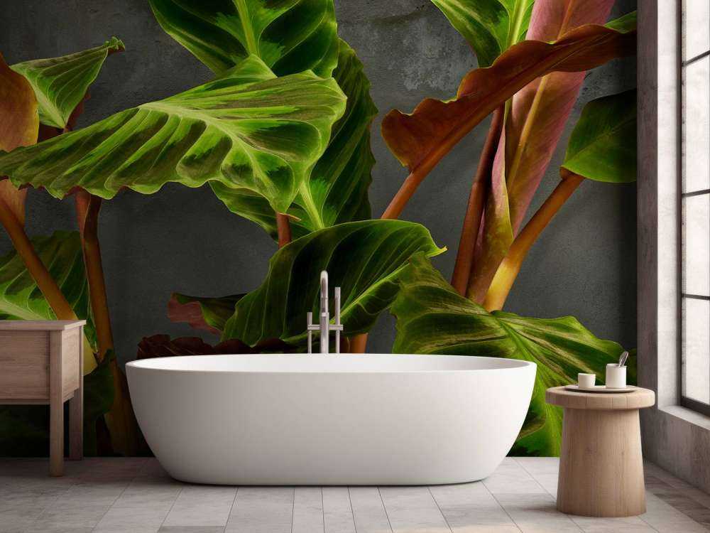 Pflanze mit schönen grünen Blättern