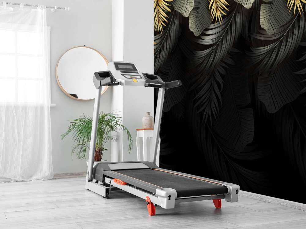 Blätter auf dunklem Hintergrund