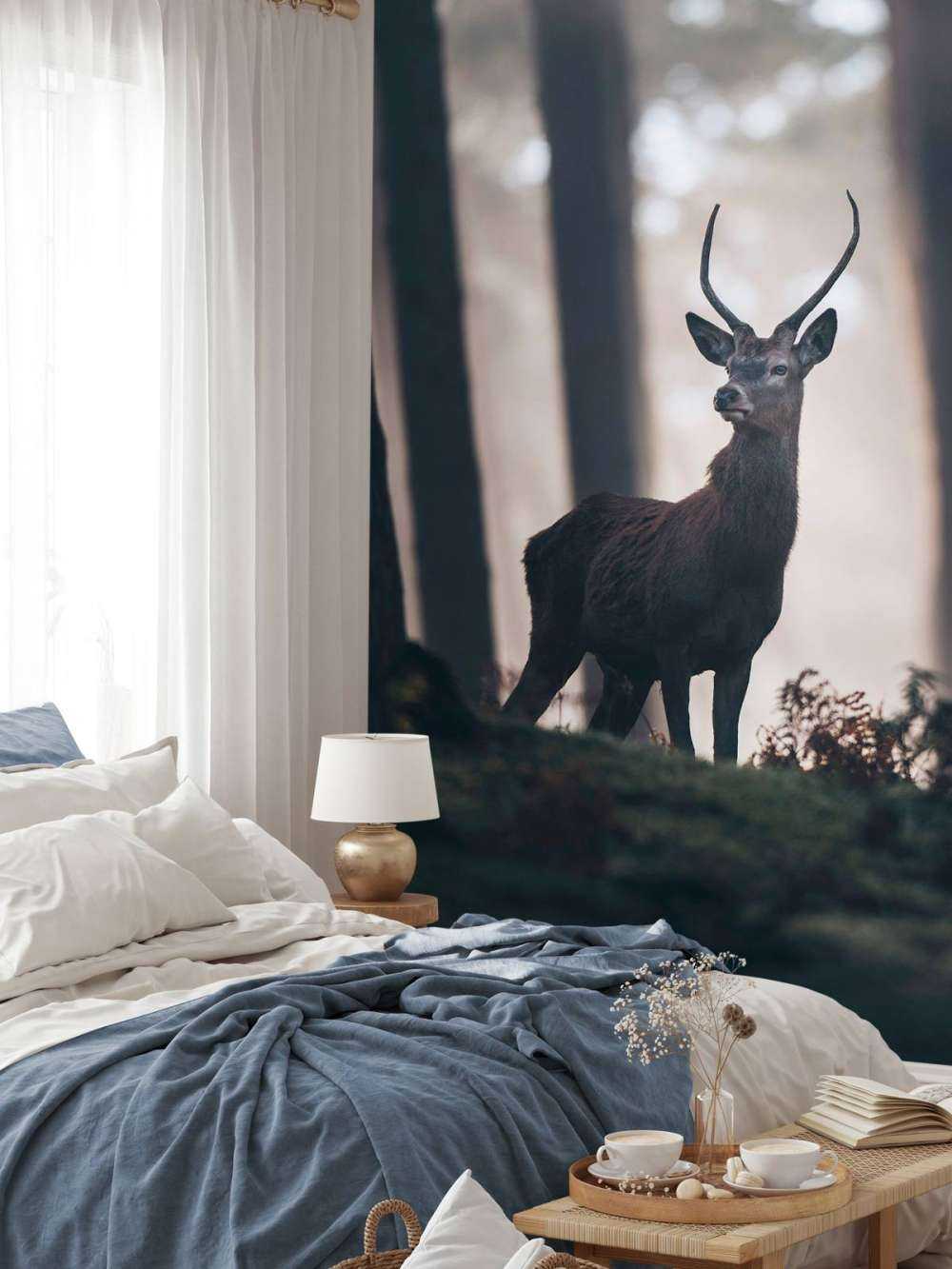 Hirsch in der Nähe von Bäumen
