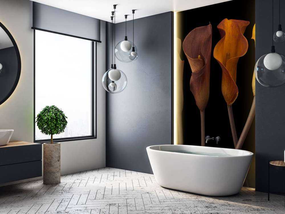 Calla-Lilien