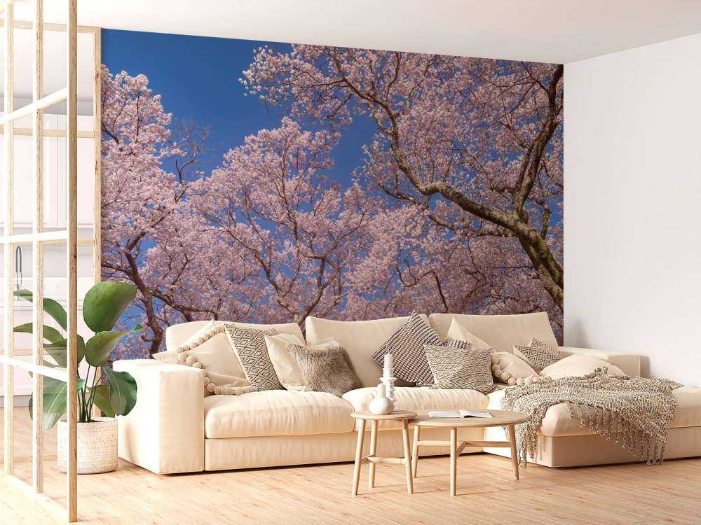 Blüten mit blauem Himmel