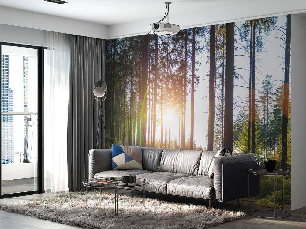 Frühling Wald