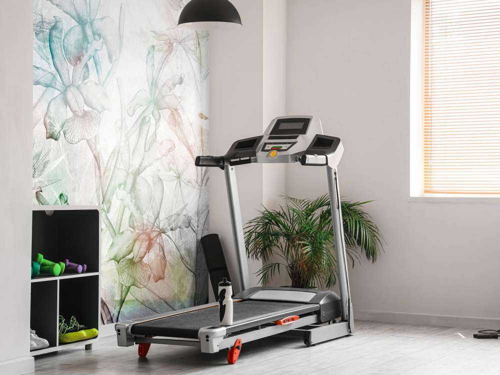 Beton-Orchideen-Traum