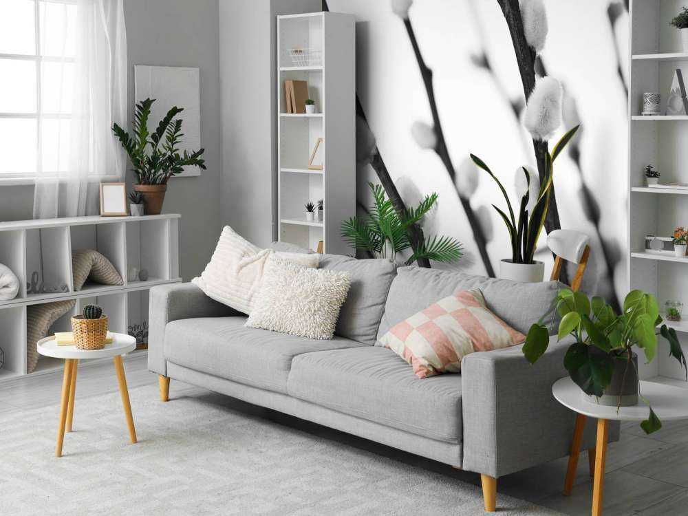 Schwarze und weiße Weide