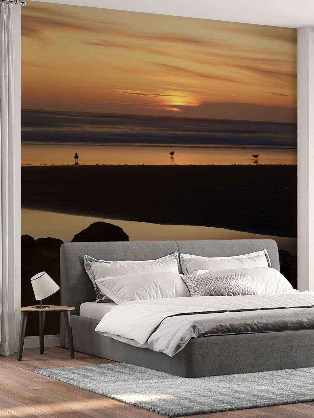 Vögel bei Sonnenuntergang