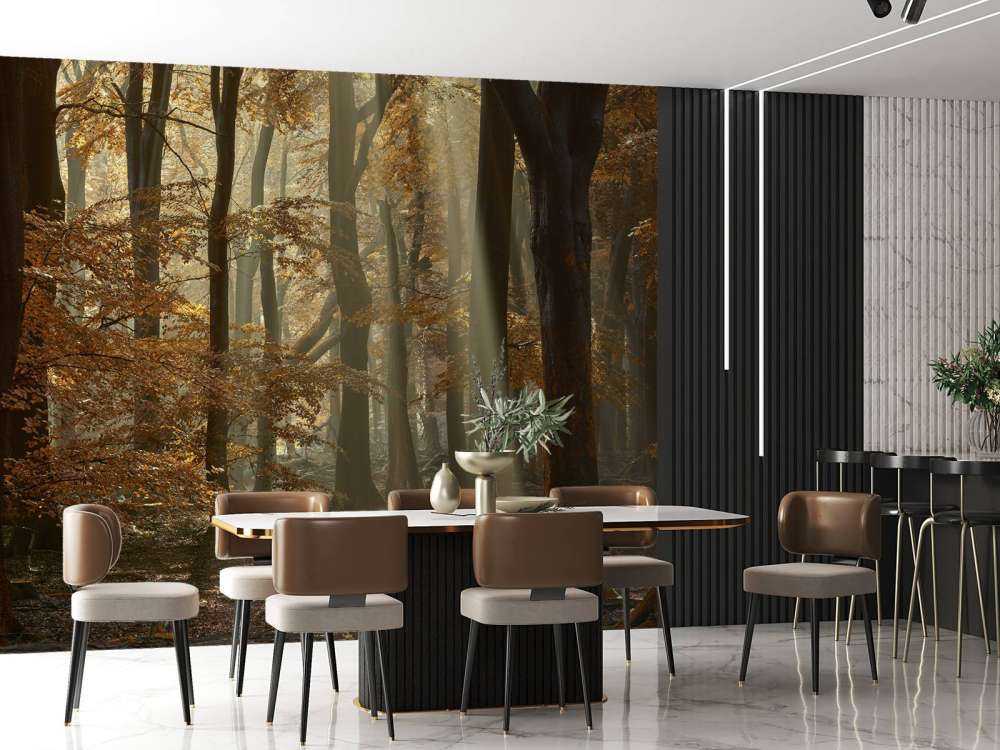 Herbstfarben im Wald