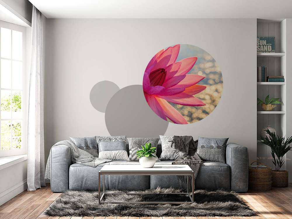 Lotusblume auf Wasser