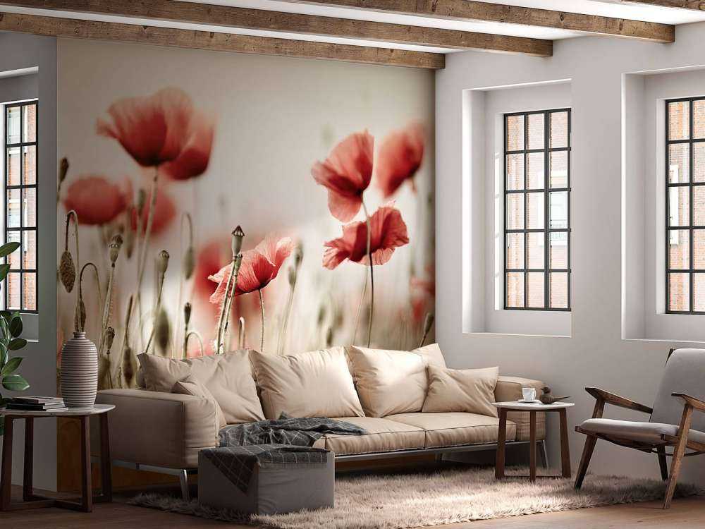 Verträumter Mohn