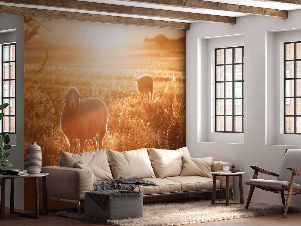 Schafe auf einer schönen Weide