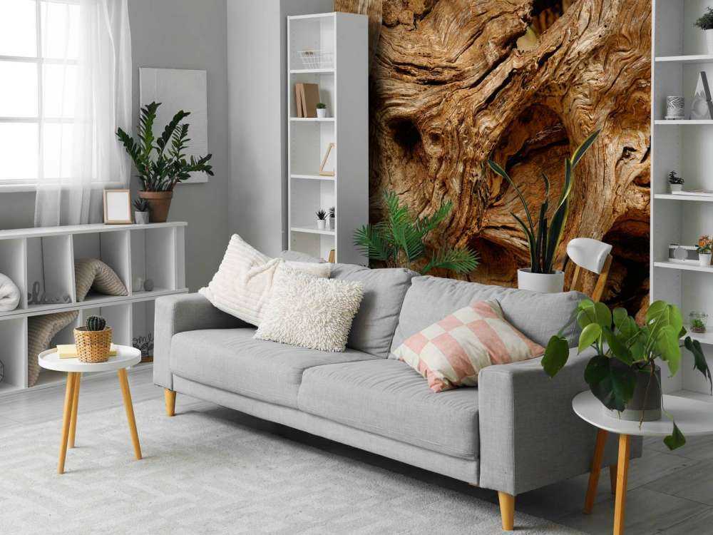 Nahaufnahme alter Baum