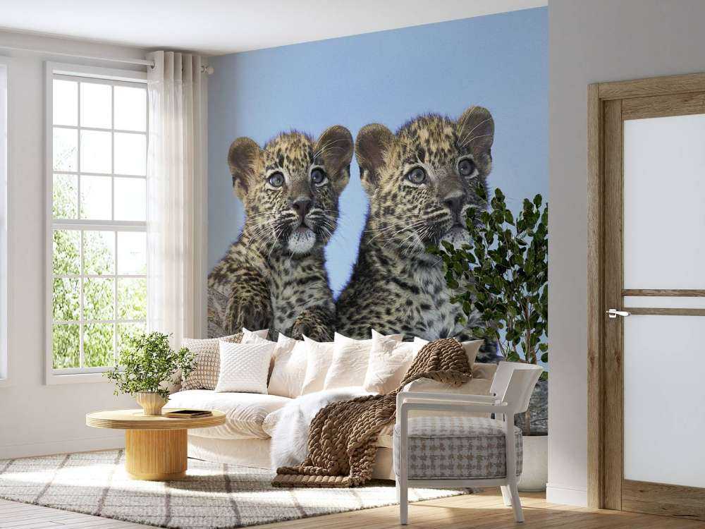 Kleine Leoparden