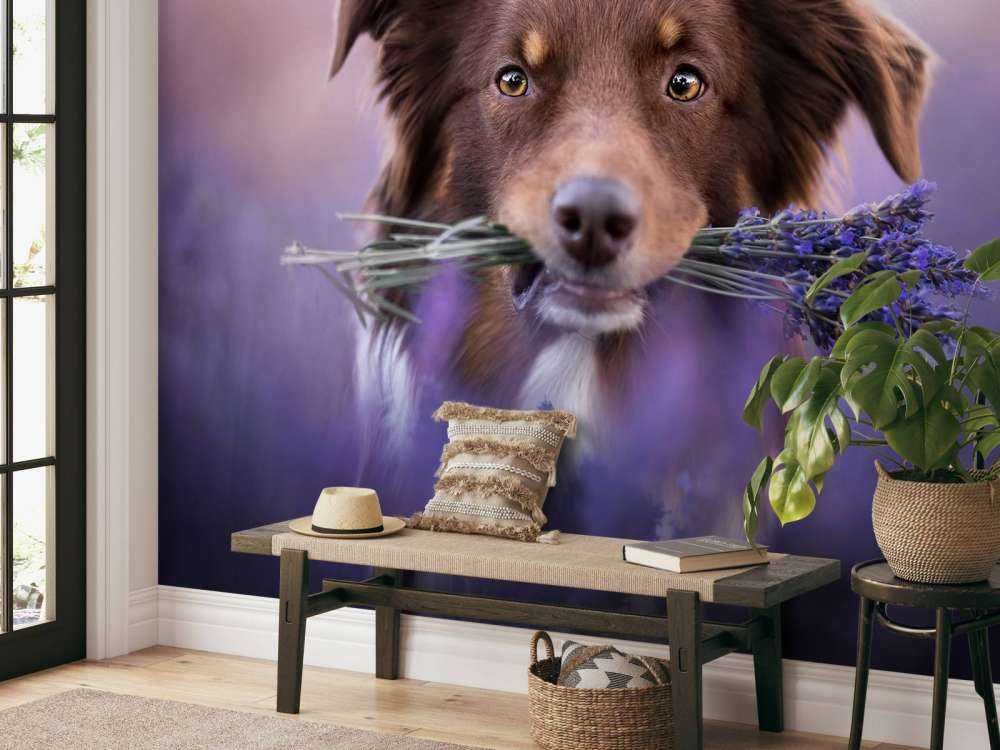 Hund mit Lavendel