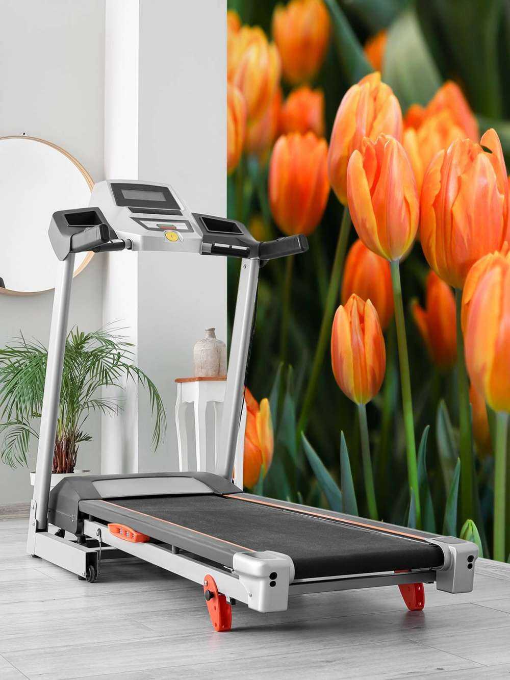 Orangefarbene Tulpen