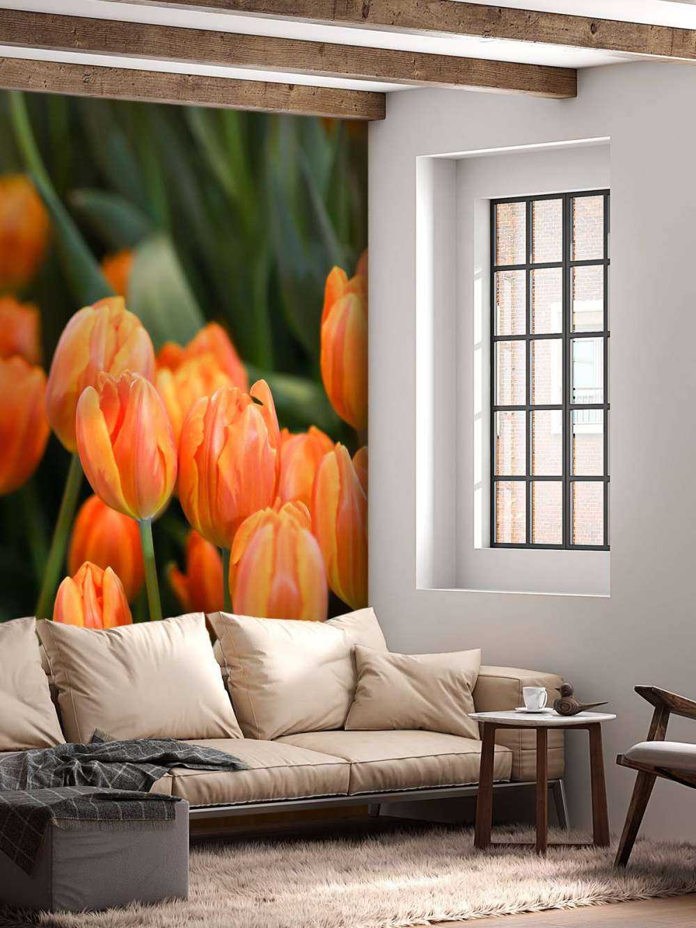 Orangefarbene Tulpen