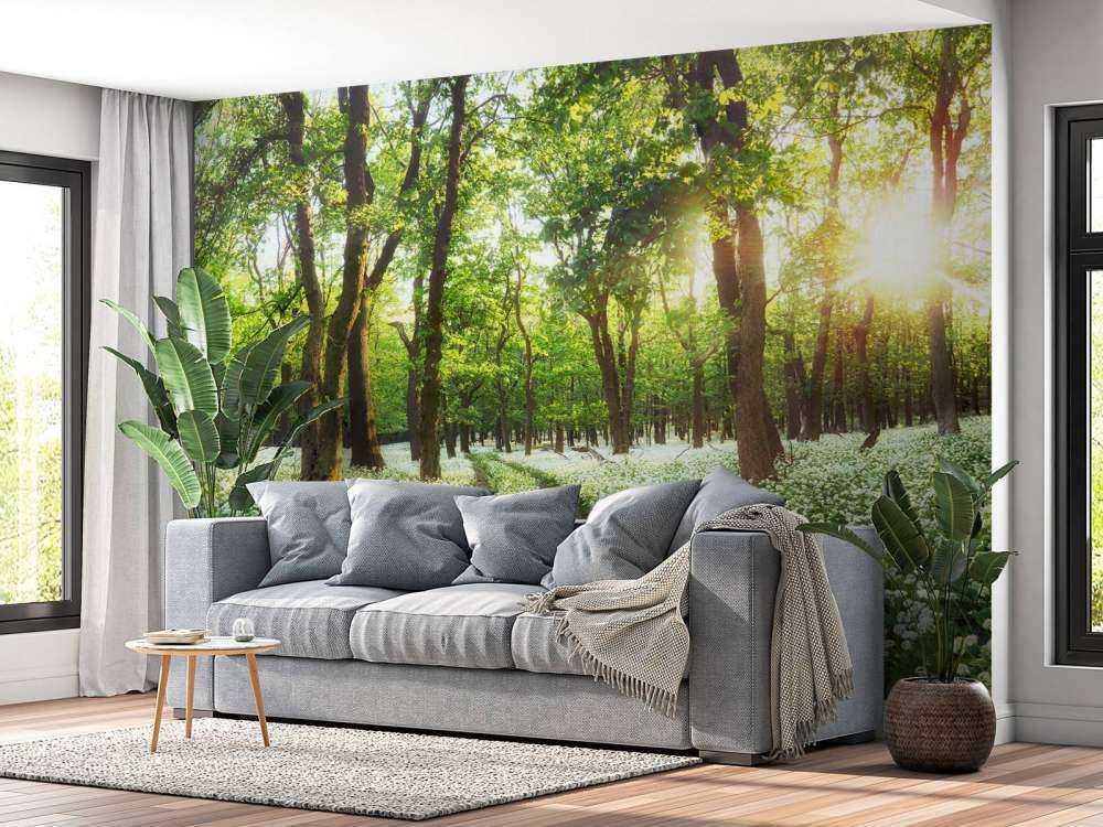 Wald Panorama