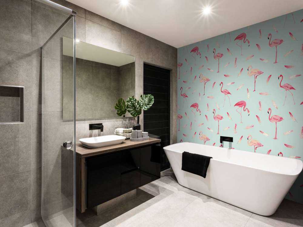 Flamingos