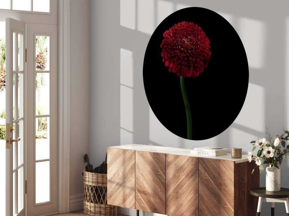 Rote Blume am Stiel