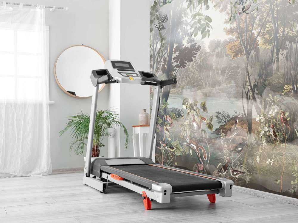 Mystische Waldvögel