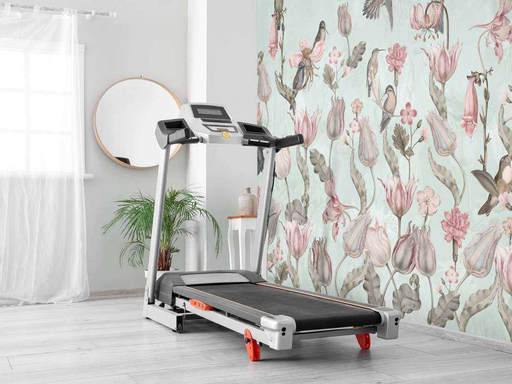 Frühling Kolibri Symphonie - Minz Wiese