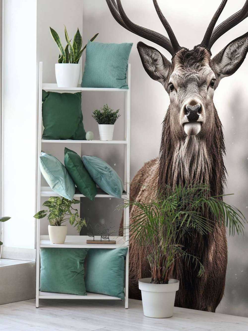 Winterkönig Hirschblick