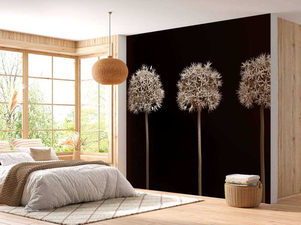 Drei Alliumblüten in einer Reihe