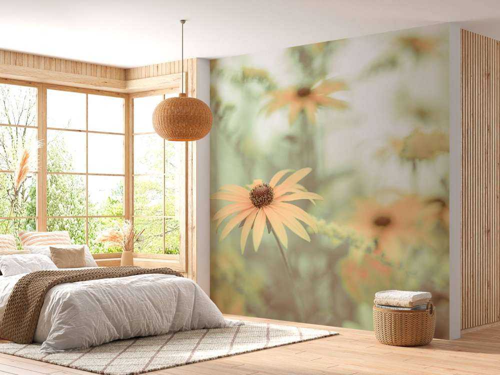 Zapfenblume