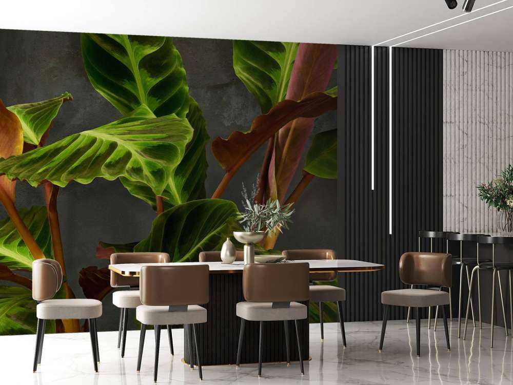 Pflanze mit schönen grünen Blättern