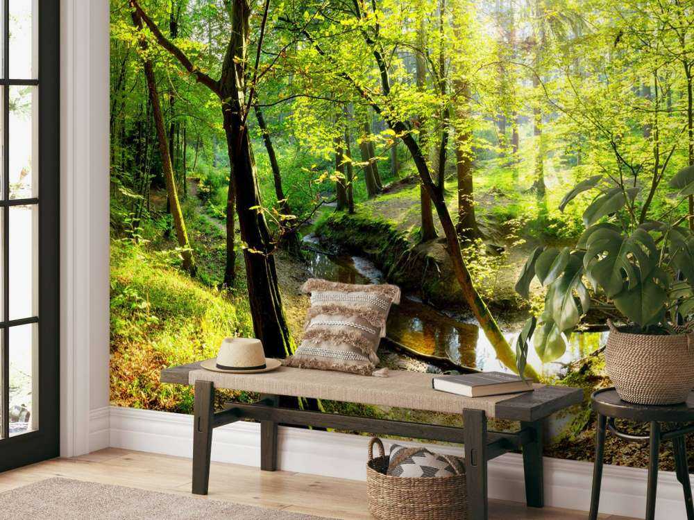 Wald mit Bach